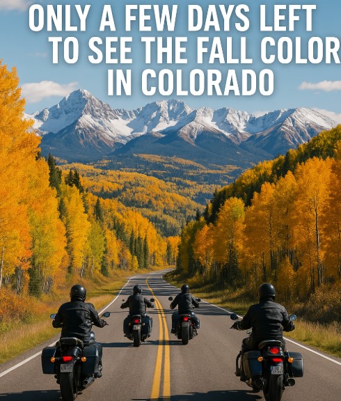 Colorado’s Fall Colors: Ride the Rockies Before the Gold Fades